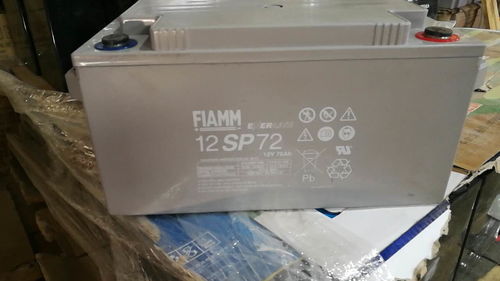 非凡蓄电池12SP100 12V100AH非凡供应 FIAMM